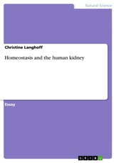 Homeostasis and the human kidney