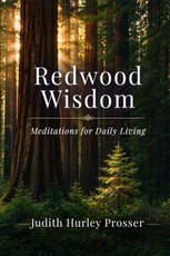 Redwood Wisdom