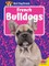 French Bulldogs