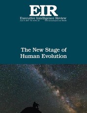 The New Stage of Human Evolution