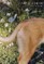 Appalachian Review - Spring 2021