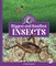 Biggest and Smallest Insects