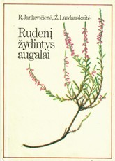 Rudenį žydintys augalai