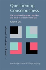 Questioning Consciousness
