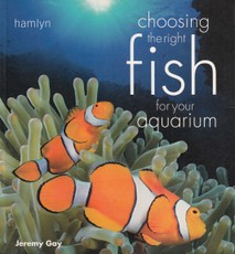 Choosing the Right Fish for Your Aquarium