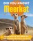 Did You Know? Meerkat