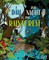 A Day and Night: In a Rainforest
