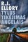 Tylus tikėjimas angelais 2009
