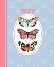 Elegant Butterflies