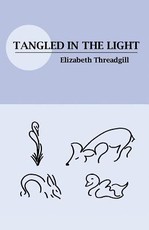 Tangled in the Light