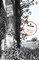 Capote, T: In Cold Blood