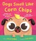 Dogs Smell Like Corn Chips