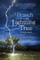 A Branch from the Lightning Tree