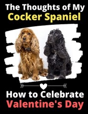 The Thoughts of My Cocker Spaniel