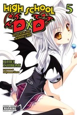 High School DXD, Vol. 5 (Light Novel)