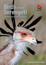 Birds of the Serengeti