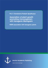 Association of plant growth promoting microorganism with transgenic Blackgram. PGPR association with transgenic plants