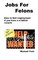 Jobs For Felons