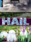Hail