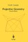 Projective Geometry