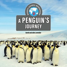 A Penguin's Journey