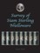 Survey of Siam Sterling Nielloware