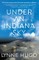 Under an Indiana Sky