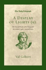 A Display of Lights (9)