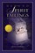 Beyond Spirit Tailings