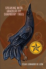speaking with grackles by soapberry trees