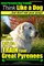 Great Pyrenees Dog Training - Think Like a Dog - But Don't Eat Your Poop!