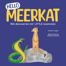 Hello Meerkat