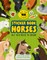 Sticker Book: Horses