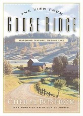 The View from Goose Ridge