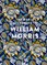 The World According to William Morris