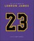 The Little Guide to Lebron James