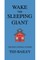 Wake the Sleeping Giant