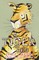 Webb, H: Tiger Tale