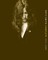 Patti Smith Complete 1975-2006