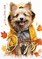 Autumn Dogs Coloring Book for Adults