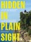 Hidden in Plain Sight