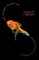 The Secret Goldfish