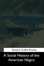 A Social History of the American Negro