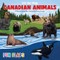 Canadian Animals Fun Flaps