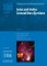 Solar and Stellar Coronal Mass Ejections (IAU S388)