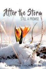After the Storm