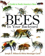 Bees in Your Backyard