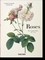 Lack, H: Redouté. Roses