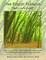 The Forest Flaneur