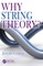 Why String Theory?